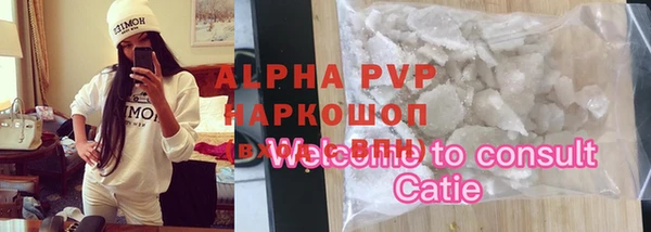 мет Алексин