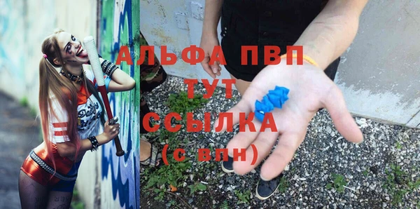 мет Алексин