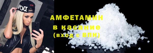 мет Алексин