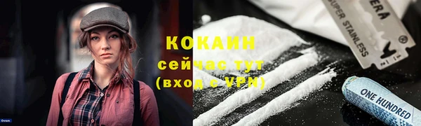 СК Алзамай