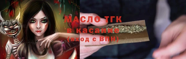 мет Алексин