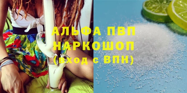 СК Алзамай