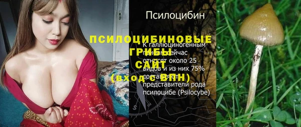 мет Алексин