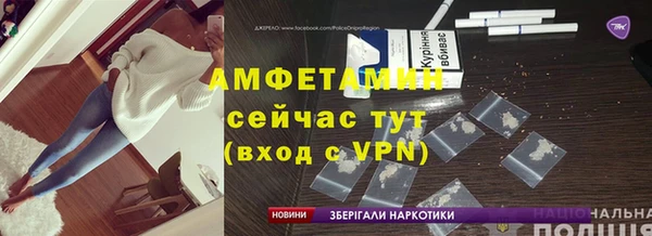 мет Алексин