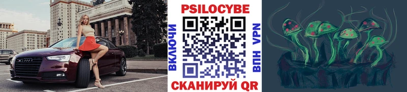 как найти закладки  Ковров  Псилоцибиновые грибы Psilocybine cubensis 